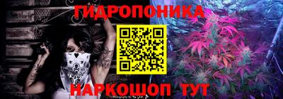 a pvp Донской