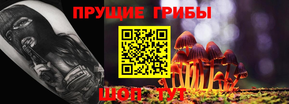 Псилоцибиновые грибы Psilocybe Мценск